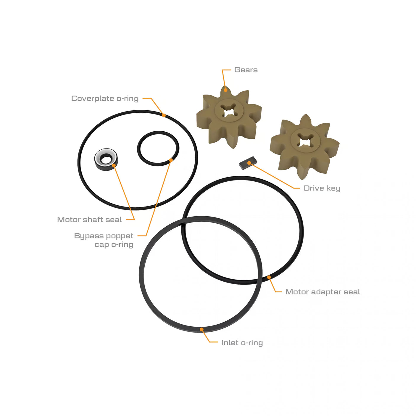 P-200 & PA-200 Transfer Pump Rebuild Kit
