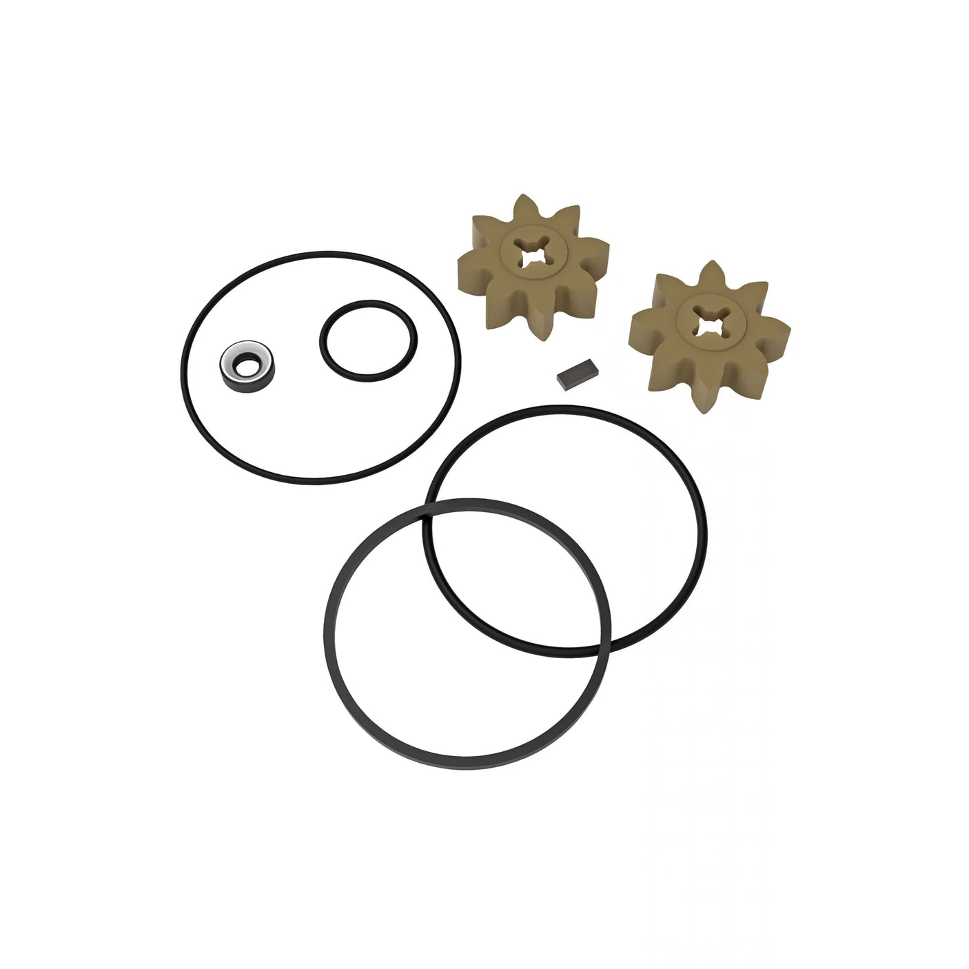 P-200 & PA-200 Transfer Pump Rebuild Kit