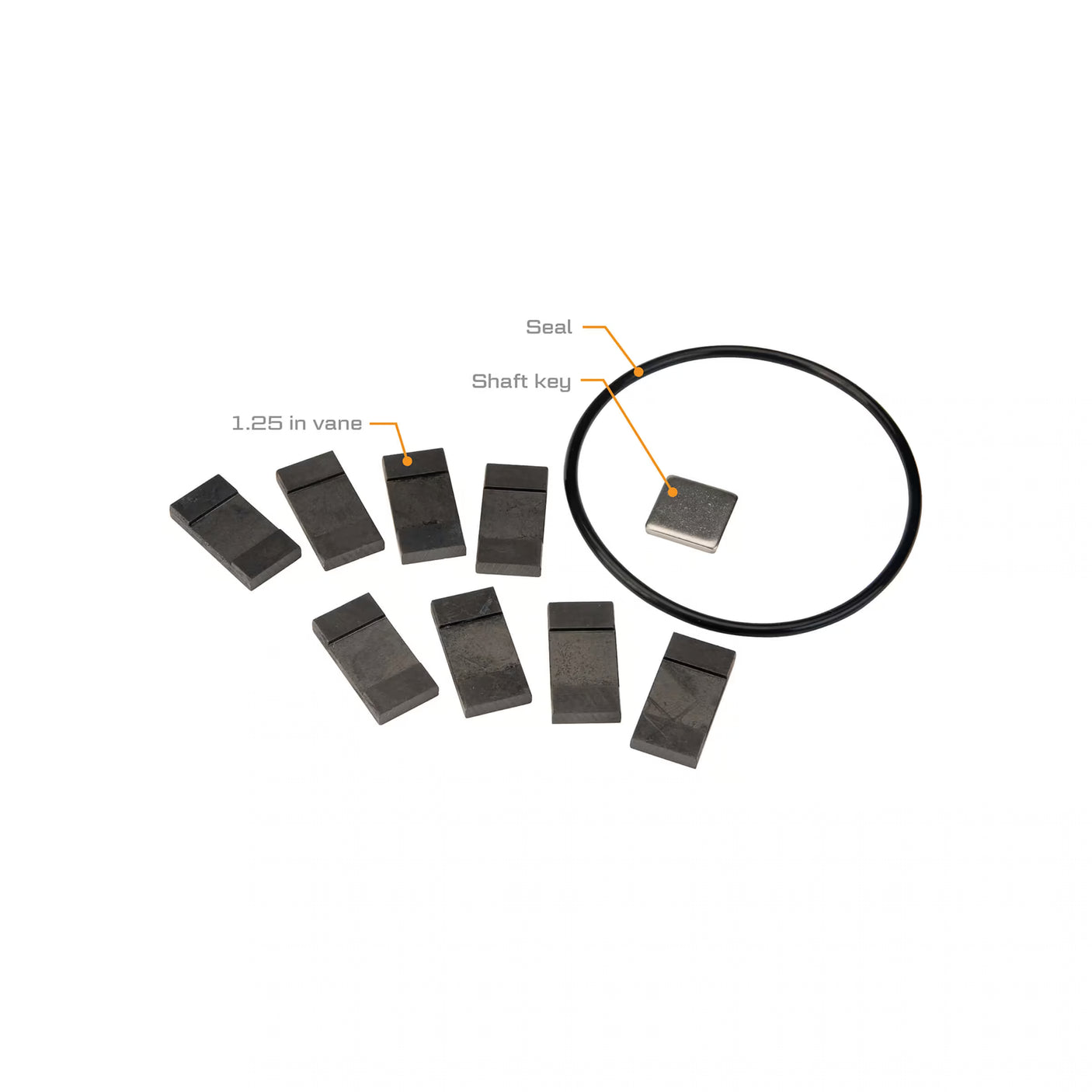 PRO20 Series Fuel Transfer Pump Rebuild Kit