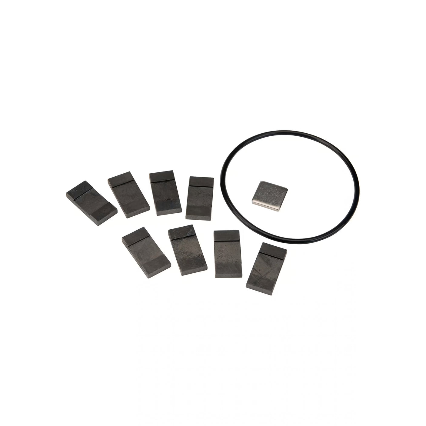 PRO20 Series Fuel Transfer Pump Rebuild Kit