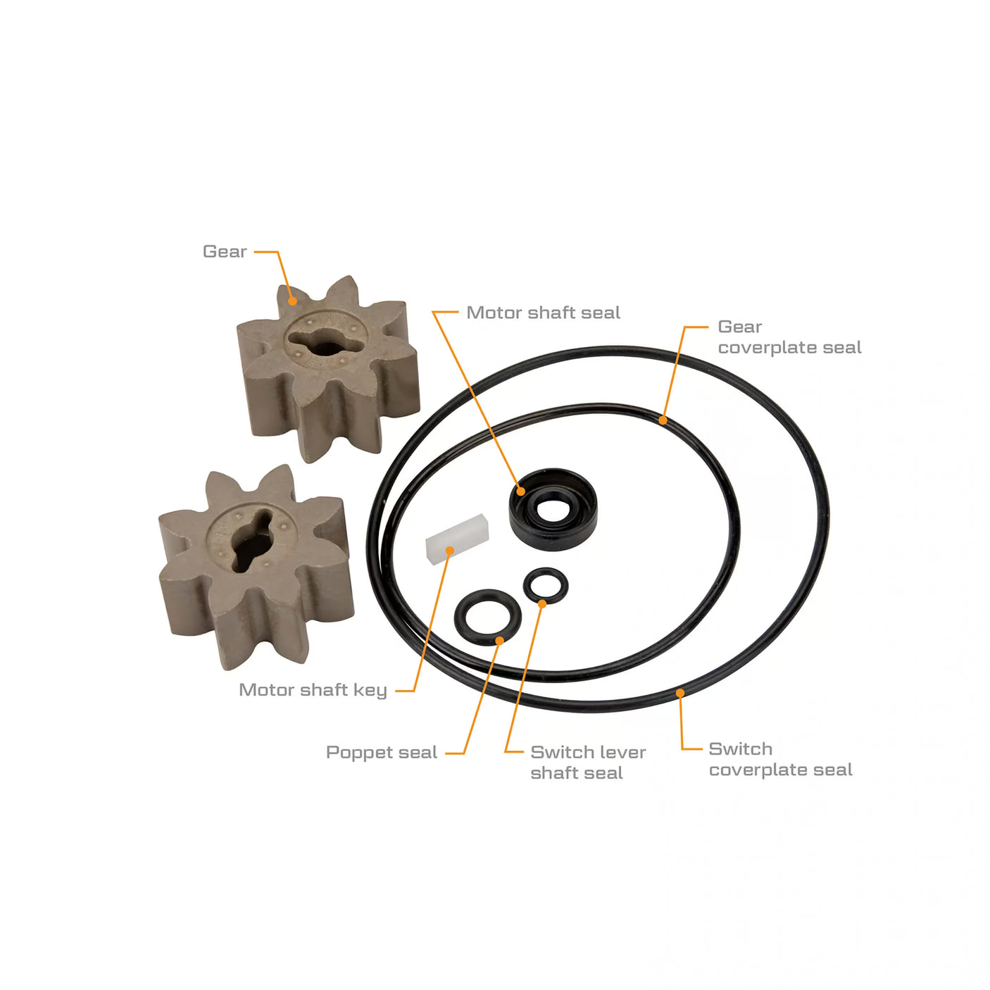 EZ-8 Fuel Transfer Pumps Rebuild Kit