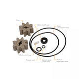 EZ-8 Fuel Transfer Pumps Rebuild Kit