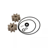 EZ-8 Fuel Transfer Pumps Rebuild Kit