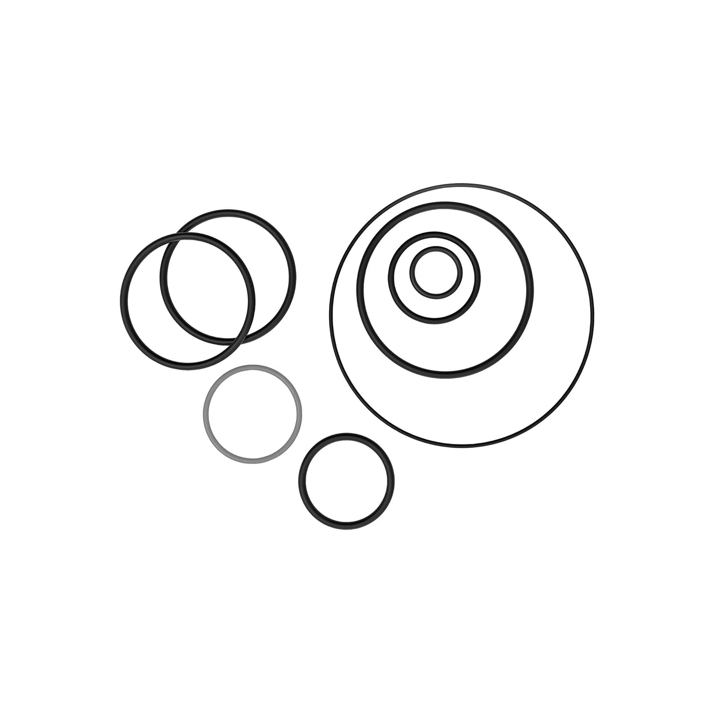 V20-115 & V20-230 Fuel Transfer Pump Seal Kit