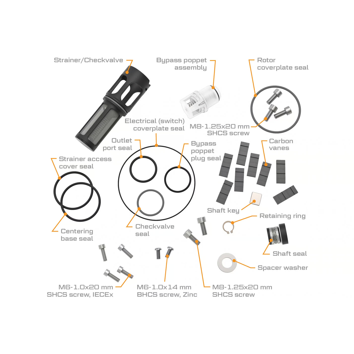 V20 Fuel Transfer Pump End Rebuild Kit